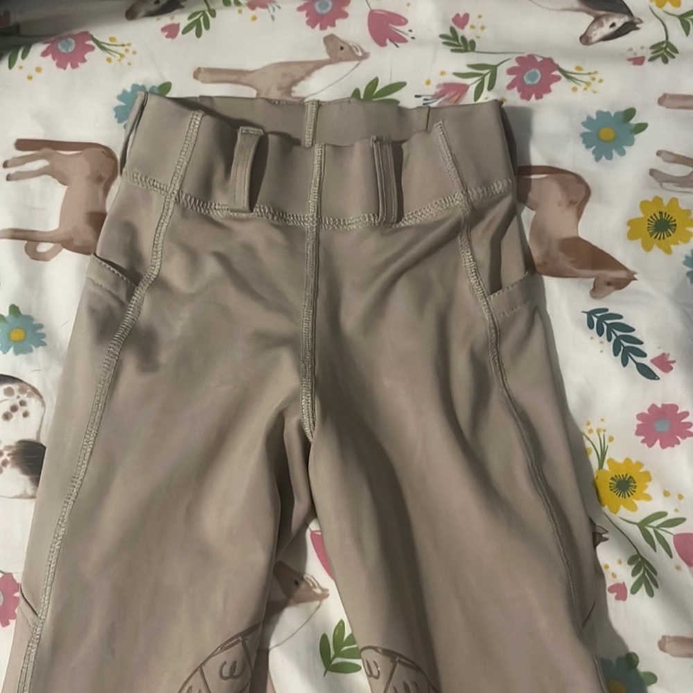 Ovation show breeches
